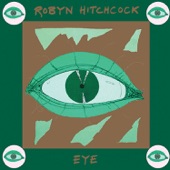 Robyn Hitchcock - Cynthia Mask