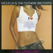 If You Wanna Party (Molella Mix) artwork