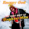 Energy God - The Very Best of Elephant Man, 2009