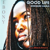 Good Life - Radio Version artwork