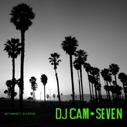 DJ Cam - California Dreamin
