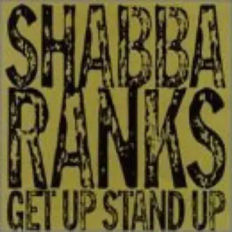 MUST LOVE REGGAE (SHABBA'S Get Up Stand Up Album) by Shabba Ranks album reviews, ratings, credits