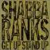 MUST LOVE REGGAE (SHABBA'S Get Up Stand Up Album) album cover