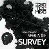 Survey (Original Mix) [Original Mix] song lyrics