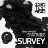 Survey - Single, 2011