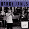 It's Been a Long, Long Time - Harry James and His Orchestra