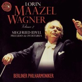 Wagner: Orchestral Pieces artwork