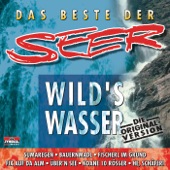 Wild's Wåsser artwork
