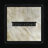 Thunderheist - Space Cowboy