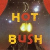 Hot Bush, 1980