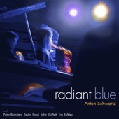 Anton Schwartz - Blues for Now