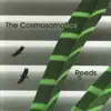 Reeds and Birds album lyrics, reviews, download