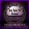 Dead or Alive - You Spin Me Round (Like a Record)