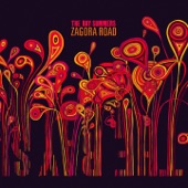 The Ray Summers - Zagora Road