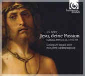 J.S. Bach: Jesu, Deine Passion artwork