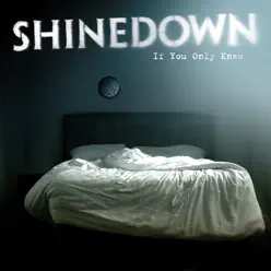 If You Only Knew - Single - Shinedown