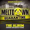 Meltdown - Qaurantine the Album album lyrics, reviews, download