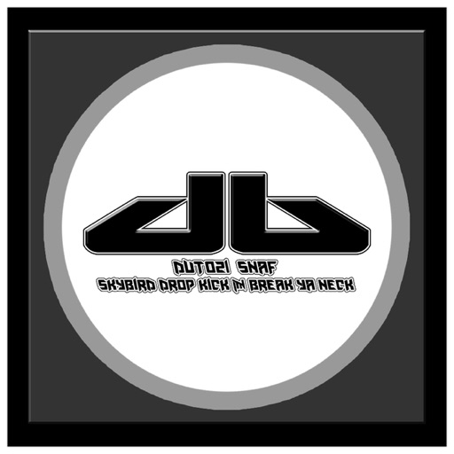 Skybird Drop Kick / Break Ya Neck - Single by Snaf