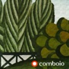 Comboio - A Flor e O Espinho