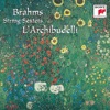 L'Archibudelli - Sextet No. 1 In B-flat Major, Op.18: I. Allegro Ma Non Troppo