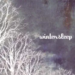 Wintersleep - Wintersleep