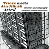 1+3+1 (Triosk Meets Jan Jelinek) artwork