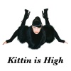 Kittin Is High - EP