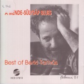 A Mende- Sülysáp Blues: Best of Berki Tamás artwork