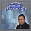 Perseverad, 2006