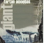 Tartan Amoebas - Head In the Clouds