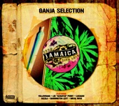 Jacob Miller - Tired Fi Lick Weed Inna Bush