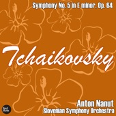 Symphony No.5 in E Minor, Op.64: I. Andante - Allegro con animo artwork