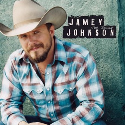 Jamey Johnson - The Dollar