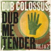 This Is Not a Dub Song artwork