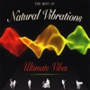Ultimate Vibes: The Best Of