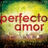 Perfecto Amor, 2010