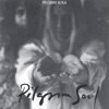 Pilgrim Soul