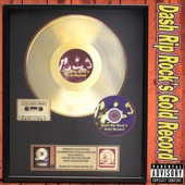 Dash Rip Rock's Gold Record