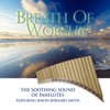 Breath of Worship - The Soothing Sound of Panflutes, 2008