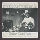 Living Country Blues USA - When The World Seems Cold