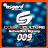 Cosmic Culture - Northern Star (Radio Mix)