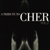 A Tibute to Cher, Vol. 2, 2005