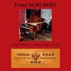 Alain Roudier - Sonate D960 : IV. Allegro ma non troppo