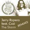 The Storm (Remixes) album lyrics, reviews, download