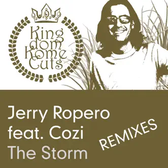 The Storm (Inpetto Instrumental Remix) by Jerry Ropero song reviws