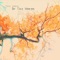 Routine Five - Mike Lorenz lyrics