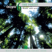 Oxygen 6: The Forest (Music and Serenity) artwork