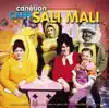 Stream & download Caneuon Caffi Sali Mali - Cyfrol 1