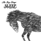 The Big Sleep - Sleep Forever