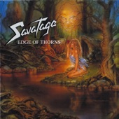 Edge Of Thorns (Bonus Track Edition) artwork